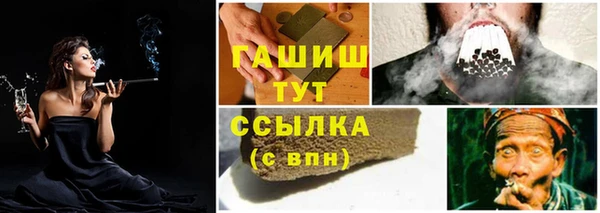 индика Баксан