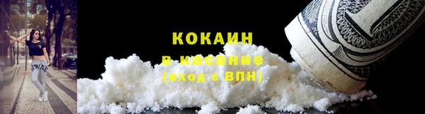 индика Баксан