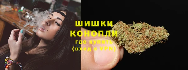 индика Баксан