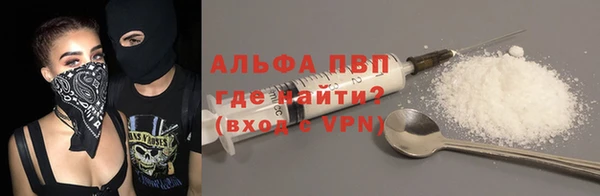 индика Баксан