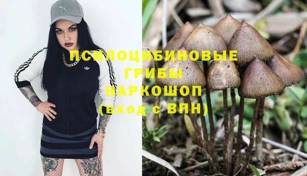 прущий лед Балахна