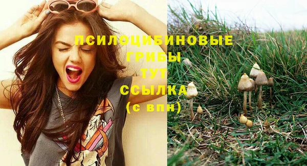 индика Баксан