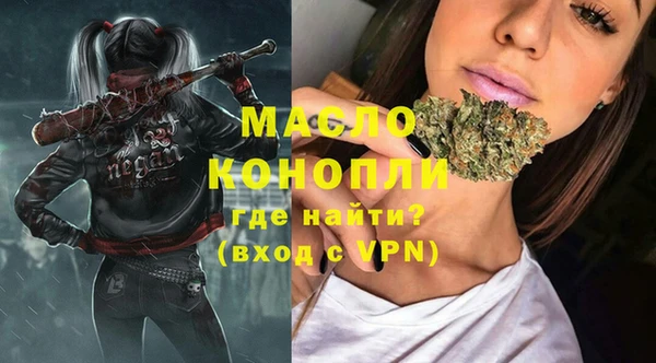 индика Баксан