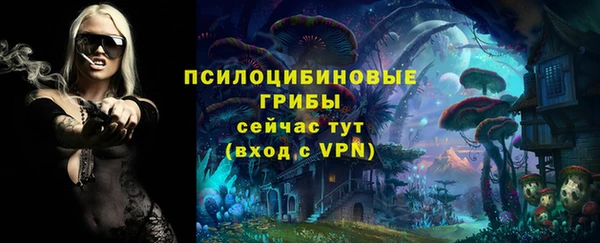 индика Баксан