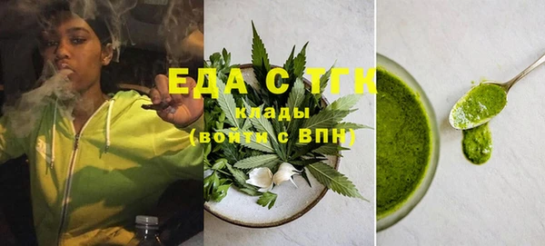 индика Баксан